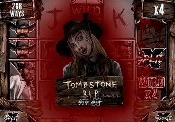 Microgaming - игровой автомат онлайн от Various с RTP 96.72%
